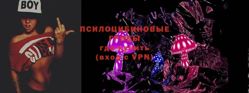 Галлюциногенные грибы MAGIC MUSHROOMS  Волчанск 